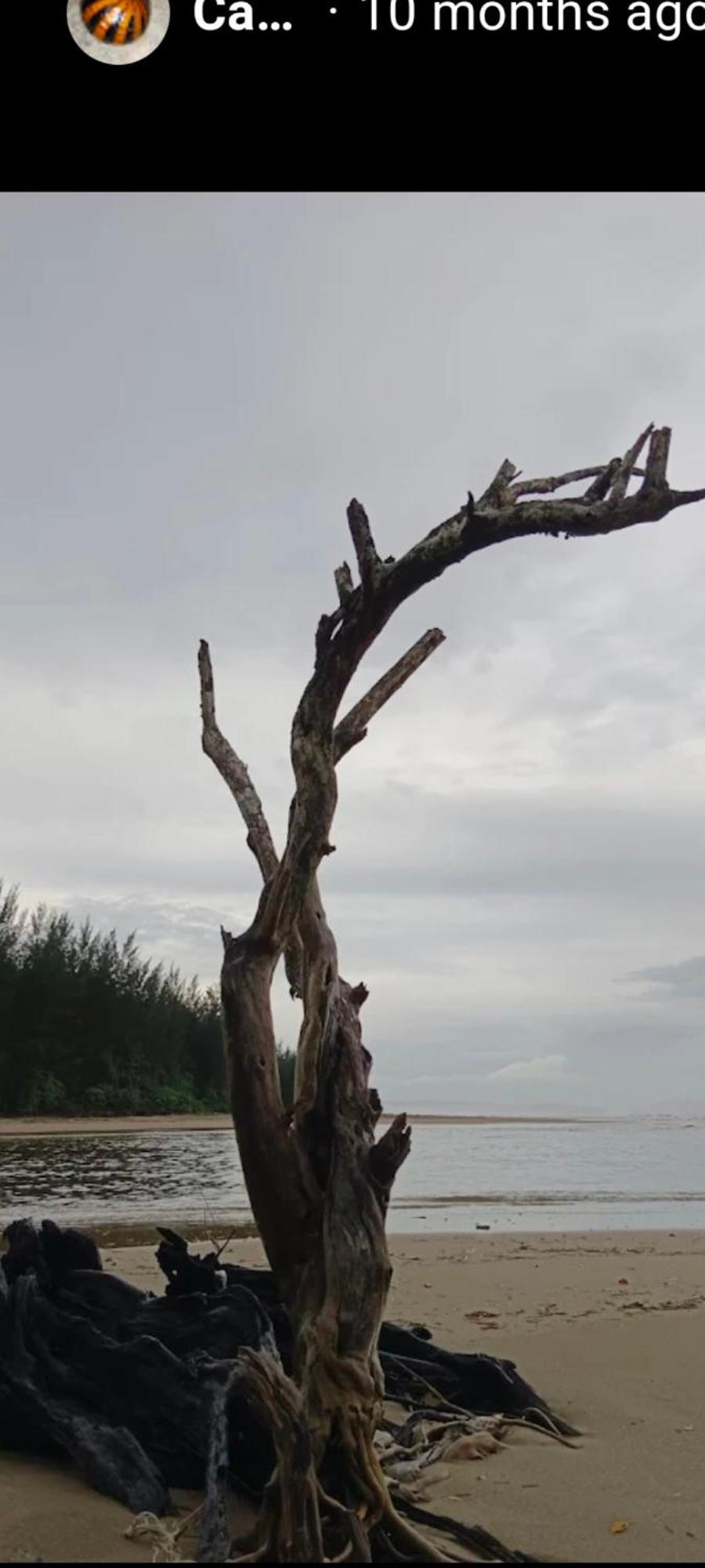 The Mangrove Βίλα Sematan Εξωτερικό φωτογραφία