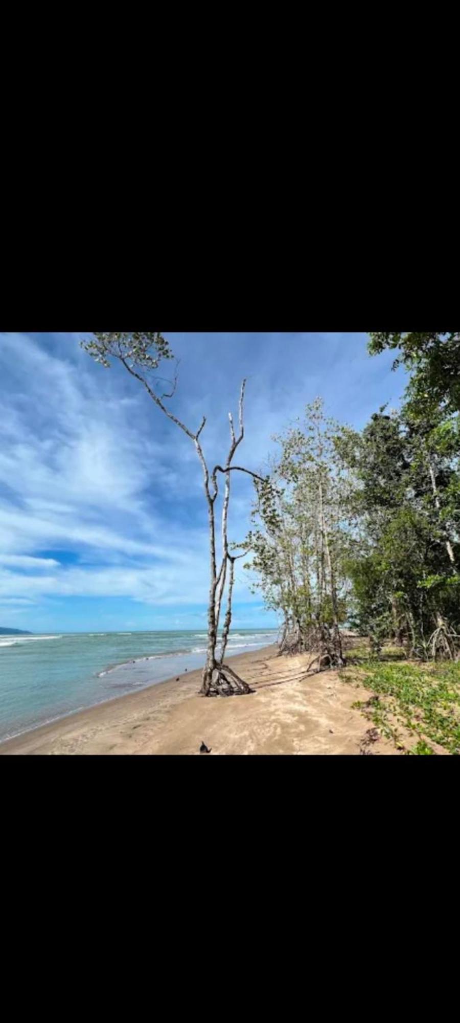 The Mangrove Βίλα Sematan Εξωτερικό φωτογραφία